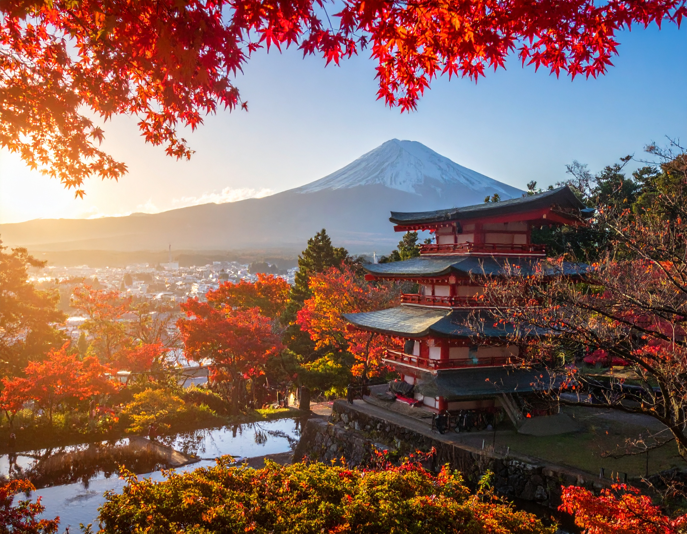 孤独を避ける：ロングステイ中に日本の文化と繋がる方法（オンラインサービス）